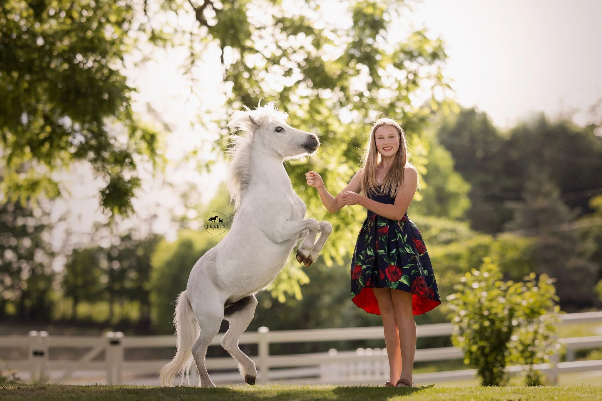 Michigan Horse and Rider Photoshoot with Arabian Horses — J.Klein